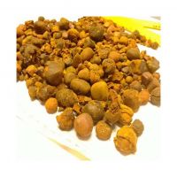 Natural dried cattle gallstones for traditional medicine