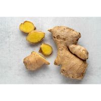 New Crop Fresh Ginger For Sale