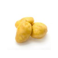 Bulk fresh potatoes for food production and processing