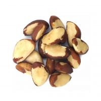 Bulk Brazilian nuts for retailers and distributors at a discounted rate