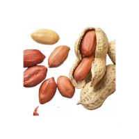 Peanut kernels for oil extraction and peanut butter production