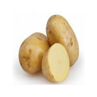 Fresh potatoes for chips and mashed potato production