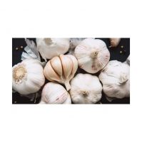 Locally sourced garlic for farm-to-table freshness