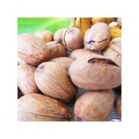 Raw pecan nuts packed with nutrients and healthy fats