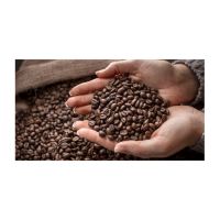 Organic Coffee Beans for cafes and specialty stores