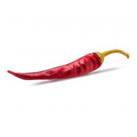 High-quality Red Dry Chilli for export and distribution