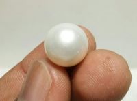 High-quality pearl for jewelry making and fashion accessories