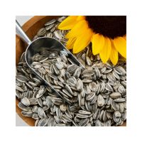 Premium raw Sunflower Seeds for snacking and baking