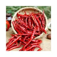 Red Dry Chilli for sale in wholesale price
