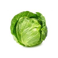 Cabbage for sale in wholesale price