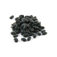 Trusted supplier of Black Kidney Beans worldwide
