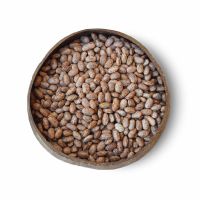Premium-grade Pinto Beans for bulk supply