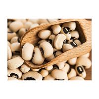 High-quality Black Eyed Cowpea Beans for sale