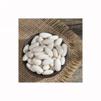 High-quality White Kidney Beans for sale