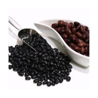 Authentic Black Kidney Beans for international trade