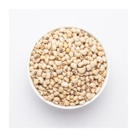 Bulk Black Eyed Cowpea Beans supplier worldwide