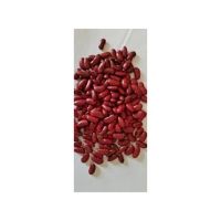 Premium Red Kidney Beans ideal for soups and stews