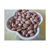 Buy Pinto Beans in large quantities  Organic Pinto Beans