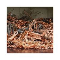 Eco-friendly Copper Wire Scrap for reuse and processing
