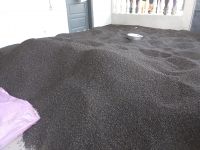 black pepper