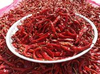 chili