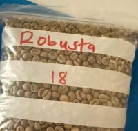 robusta coffee beans