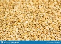 Sesame Seeds