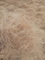 Coco Fibre, Coir Fibre