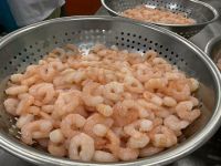 FROZEN COOKED PD VANNAMEI SHRIMP