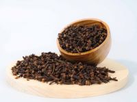 Cloves, the Best Quality Natural Spice from Indonesia