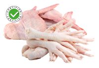 Superior quality A grade frozen chicken Halal