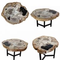 petrified wood co...