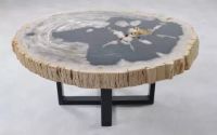 petrified wood coffe table