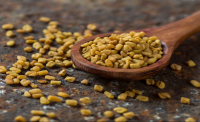 Fenugreek