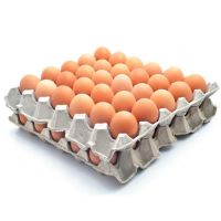 https://fr.tradekey.com/product_view/Best-Quality-Fresh-Brown-Table-Chicken-Eggs-10130359.html