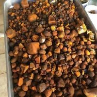 https://es.tradekey.com/product_view/Cattle-Gallstones-Cow-Gallstones-Ox-Gallstones-10270991.html