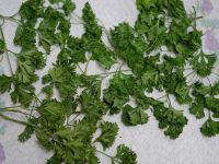 parsley