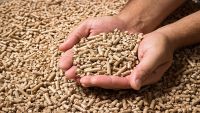 100% Pine Wood Pellets for sale