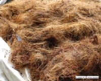 Coconut Coir