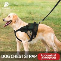 Deardogs Simple And Handsome Chest Strap.ordering Products Can Be Contacted By Email.