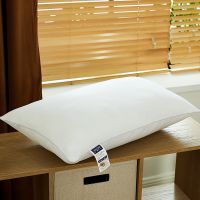 Pillow  pillow core 