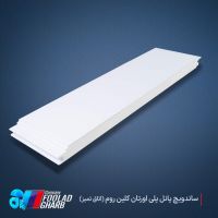 PUR (Polyurethane) Sandwich Panel for Clean Room