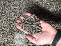 Sunflower Husk Pellets