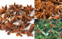 star anise