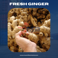 Fresh Ginger