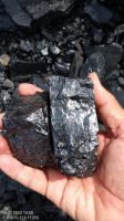 Steam Coal