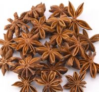 Autumn star anise