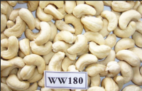 CASHEW NUTS&amp;amp;KERNEL