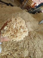 Wood Shavings