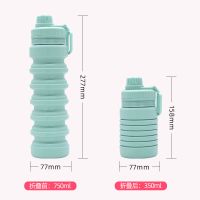 750ml Collapsible Portable Food Grade Silicone Bottle For Travel
